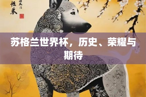 苏格兰世界杯，历史、荣耀与期待