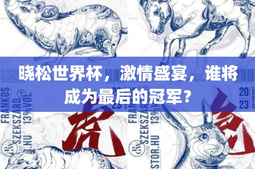 晓松世界杯，激情盛宴，谁将成为最后的冠军？