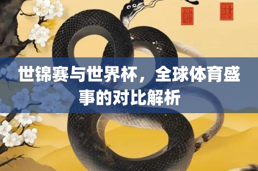 世锦赛与世界杯，全球体育盛事的对比解析