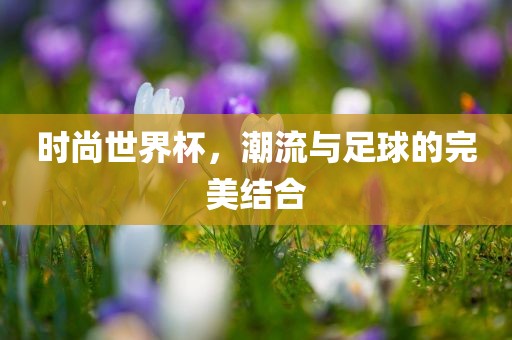 时尚世界杯，潮流与足球的完美结合洛阳市法福文化传播有限公司