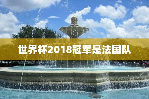 世界杯2018冠军是法国队洛阳市法福文化传播有限公司