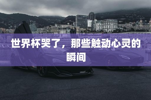 世界杯哭了，那些触动心灵的瞬间洛阳市法福文化传播有限公司