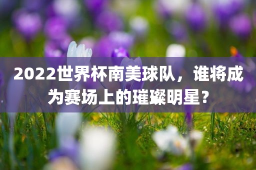 2022世界杯南美球队，谁将成为赛场上的璀璨明星？