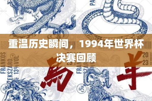 重温历史瞬间，1994年世界洛阳市法福文化传播有限公司杯决赛回顾