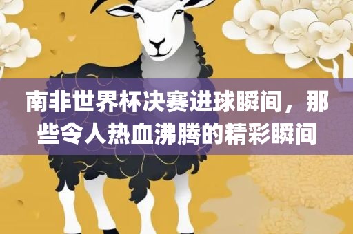 南非世界杯决赛进球瞬间，那些令人热血沸腾洛阳市法福文化传播有限公司的精彩瞬间