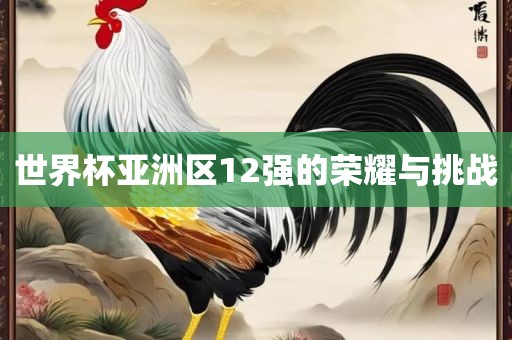 世界杯亚洲区12强的荣耀与挑战