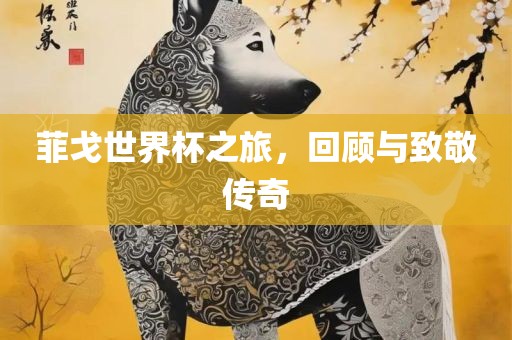 菲戈世界杯之旅，回顾与洛阳市法福文化传播有限公司致敬传奇