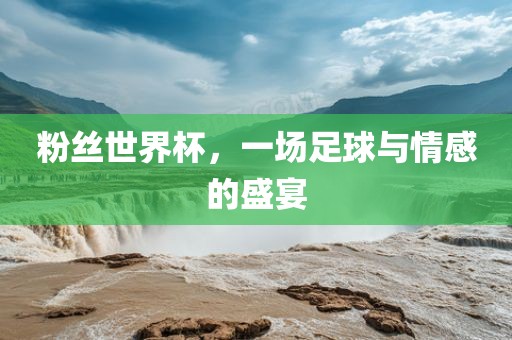 粉丝世界杯，一场足球与情感的盛宴洛阳市法福文化传播有限公司