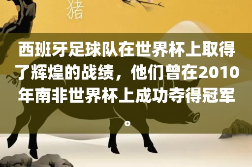 西班牙足球队在世界杯上取得了辉煌的战绩，他们曾在2010年南非世界杯上成功夺得冠军。