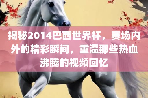 揭秘2014巴西世界杯，赛场内外的精彩瞬间，重温那些热血沸洛阳市法福文化传播有限公司腾的视频回忆