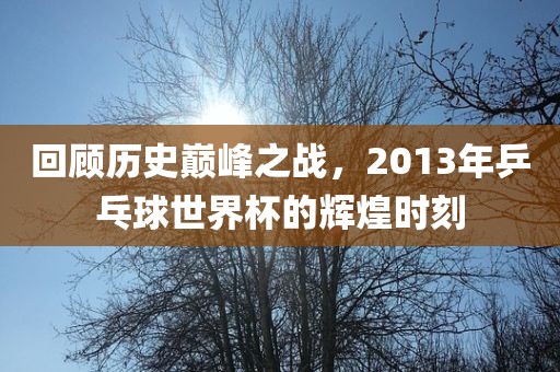 回顾历史巅峰之战，2013年乒乓球世界杯的辉煌时刻