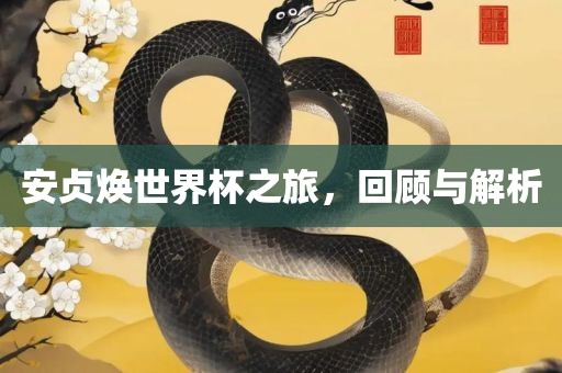 安贞焕世界杯之旅，回顾与解析