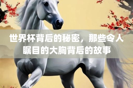 世界杯背后的秘密，那些令人瞩目的大胸背后的故事