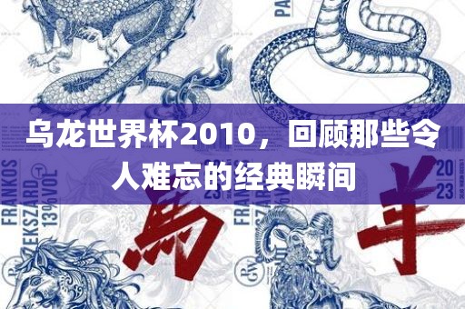 乌龙世界杯2010，回顾那些令人难忘的经典瞬间洛阳市法福文化传播有限公司