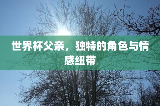 世界杯父亲，独特的洛阳市法福文化传播有限公司角色与情感纽带