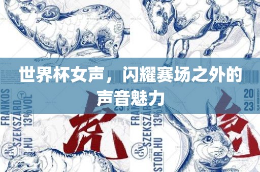 世界杯女声，闪耀赛场之外的声音魅力洛阳市法福文化传播有限公司