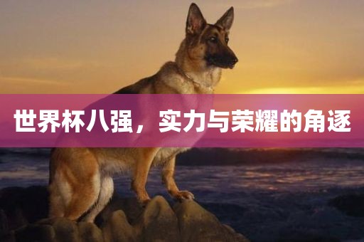 世界杯八强，实力与荣耀的角逐