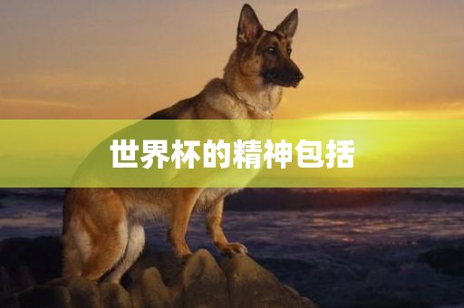 世界杯的精神包括洛阳市法福文化传播有限公司