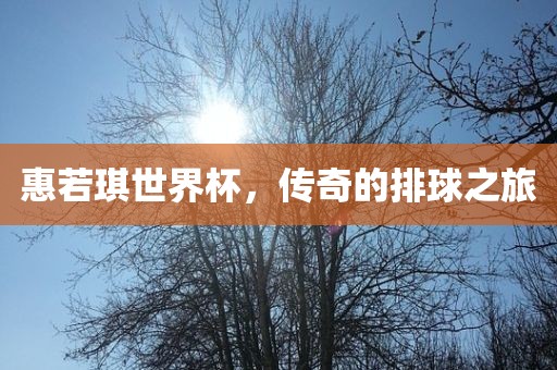 惠若琪世界杯，传奇的排球之旅洛阳市法福文化传播有限公司