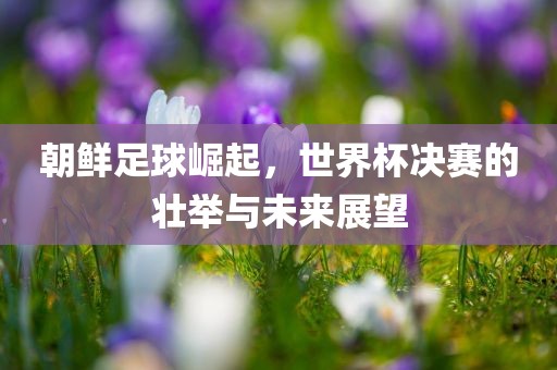 朝鲜足球崛起，世界杯决赛的壮举与未来展望洛阳市法福文化传播有限公司