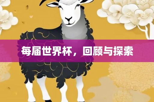 每届世界杯，回顾与探索洛阳市法福文化传播有限公司