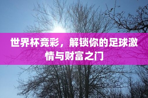 世界杯竞彩，解锁你的足球激情与财富之门洛阳市法福文化传播有限公司