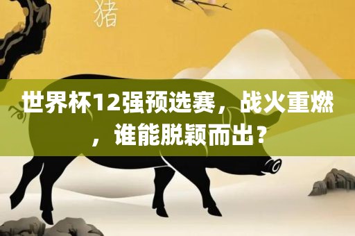 世界杯12强预选赛，战火重燃，谁能脱颖而出？