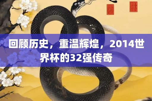 回顾历史，重温辉煌，2014世界杯的32强传奇洛阳市法福文化传播有限公司