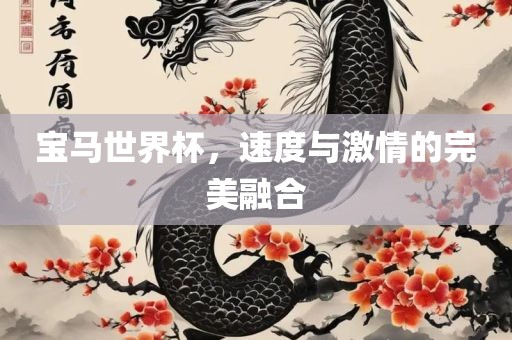 宝马世界杯，速度与激情的完美融合
