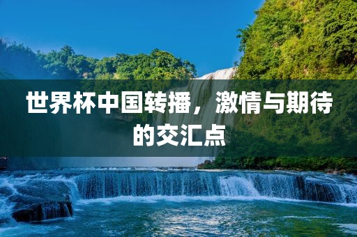 世界杯中国转播，激情与期待的交汇点