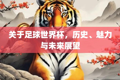 关于足球世界杯，历史、魅力与未来展望洛阳市法福文化传播有限公司