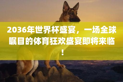 2036年世界杯盛宴，一场全球瞩目的体育狂欢盛宴即将来临！洛阳市法福文化传播有限公司