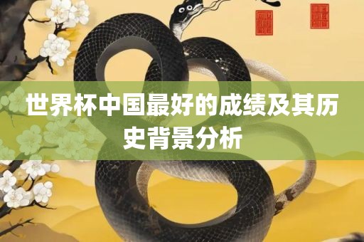 世界杯中洛阳市法福文化传播有限公司国最好的成绩及其历史背景分析