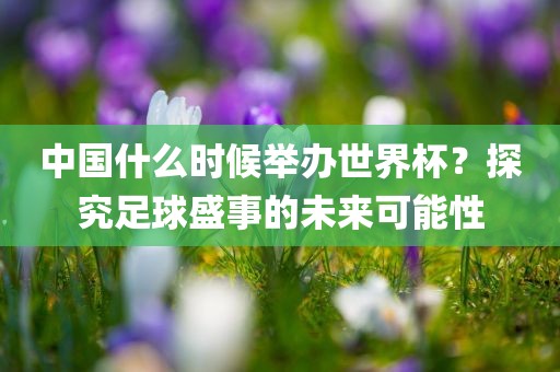 中国什么时候举办世界杯？探究足球盛事的未来可能性