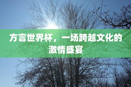 方言世界杯，一场跨越文化的激情盛宴洛阳市法福文化传播有限公司