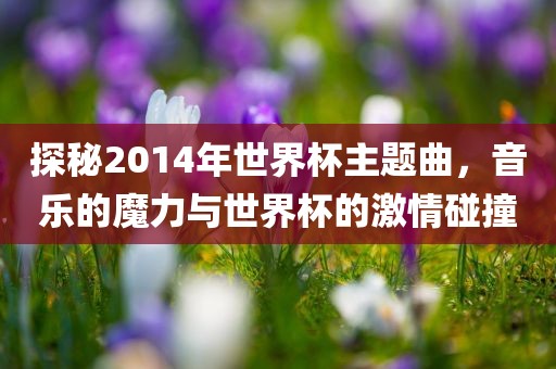 探秘2014年世界杯主题曲，音乐的魔力与世界杯的激情碰撞