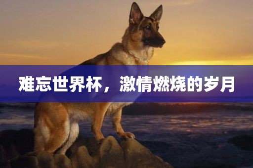 难忘世界杯，激情燃烧的岁月洛阳市法福文化传播有限公司