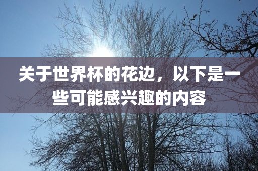 关于世界杯的花边，以下是一些可能感兴趣的内容洛阳市法福文化传播有限公司