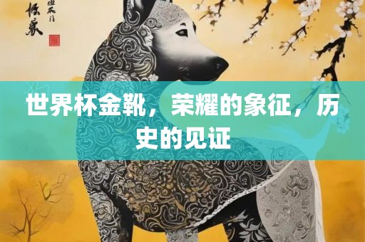 世界杯金靴，荣耀的象征，历史的见证