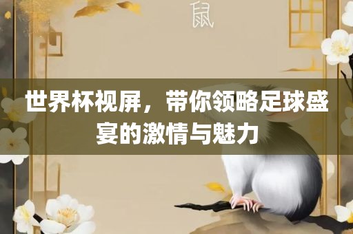 世界杯视屏，带你领略足球盛宴的激情与魅力