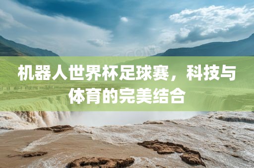 机器人世界杯足球赛，科技与体育的完美结合洛阳市法福文化传播有限公司