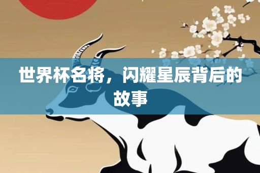 世界杯名将，闪耀星辰背后的故事洛阳市法福文化传播有限公司