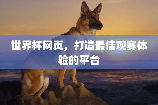 世界杯网页，打造最佳观赛体验的平台