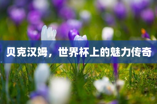 贝克汉姆，世界杯上的魅力传奇洛阳市法福文化传播有限公司