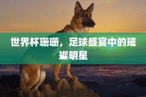 huangyanmin 第8页
