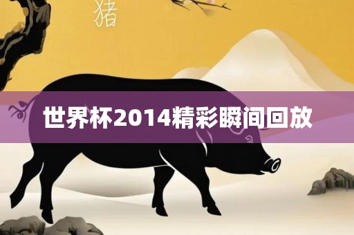 世界杯2014精彩瞬间回放