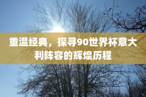 重温经典，探寻90世界杯意大利阵容的辉煌历程