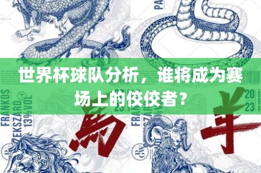 世界杯球队分析，谁将成为赛场上的佼佼者？