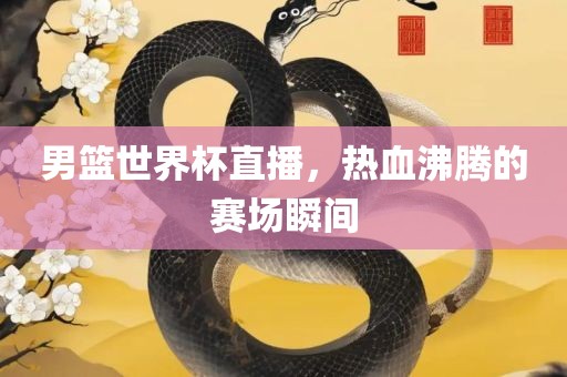 男篮世界杯直播，热血沸腾的赛场瞬间