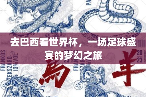 去巴西看世界杯，一场足球盛宴的梦幻之旅洛阳市法福文化传播有限公司